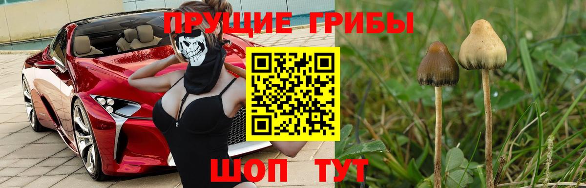 ГАШ  Вход с VPN  Канабис  Азов  Мефедрон   КОКАИН 